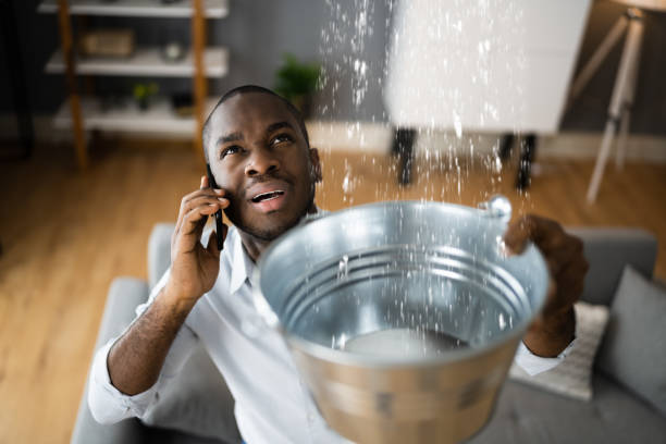 Professional Water damage restoration in IN