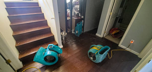 Best Sewage cleanup and water damage restoration  in Frankl, IN