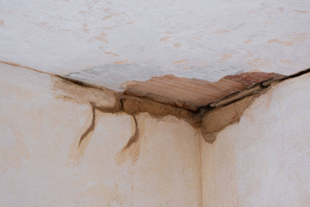 Best Water damage cleanup near me  in Frankl, IN