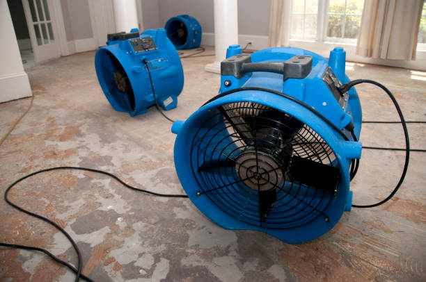 Best Water damage restoration insurance claims  in Frankl, IN