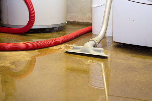 Best Flood restoration services  in Frankl, IN