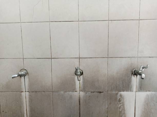Best Water damage repair service  in Frankl, IN