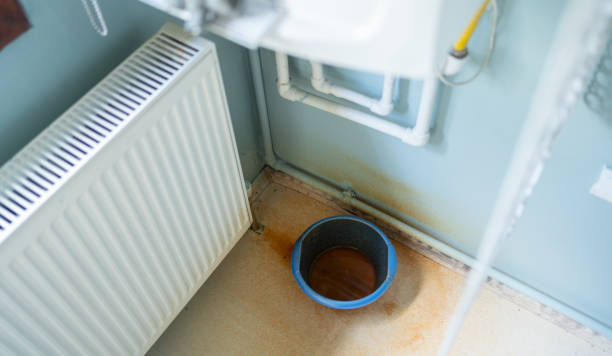 Best Professional water damage repair  in Frankl, IN