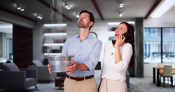Best Local water damage restoration  in Frankl, IN