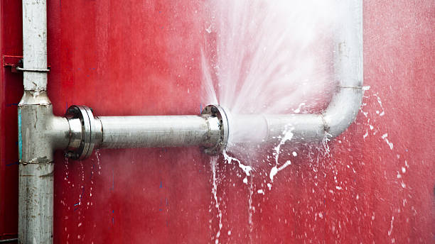 Best Flood damage cleanup  in Frankl, IN