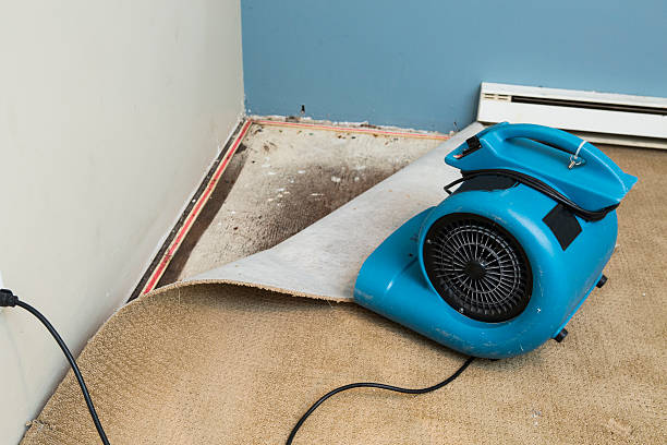 Best 24-hour water damage restoration  in Frankl, IN